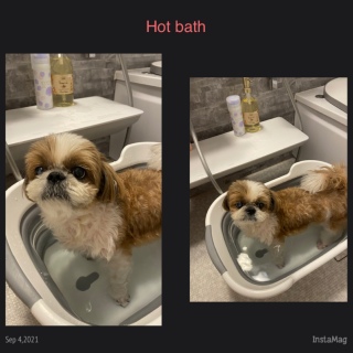Hot bath