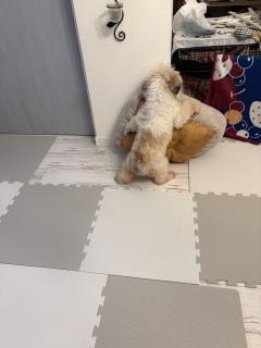 ��̉^����