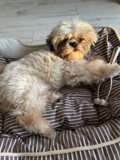 Pal�̂��C�ɓ���