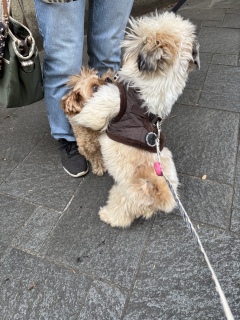 ���ƕ�炷�K��