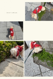 �����x�݂ɎU��