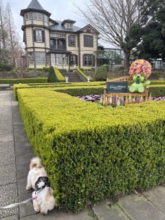 ��������������