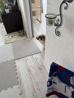 ����Ƌ��j��