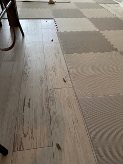 �ϊ����̂�����