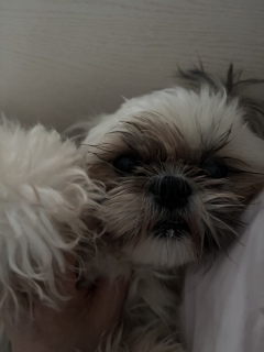 ���̋G�߂͂��������ł����c