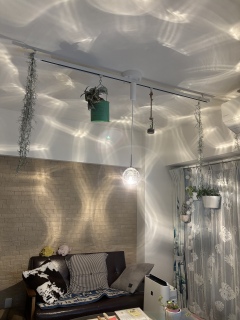 �~���������y���_���g���C�g