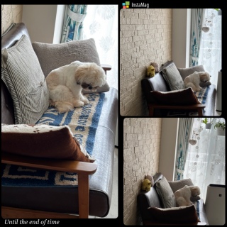 �l�����Ƃ��Ă���̂���