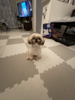 ���ł�����