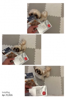 �����̒��͂ǂ�ɂ���H