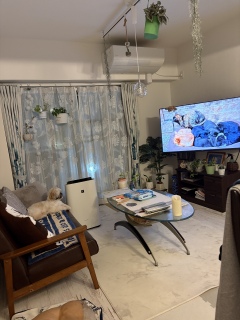 ���낻��Q�鎞�Ԃ�����