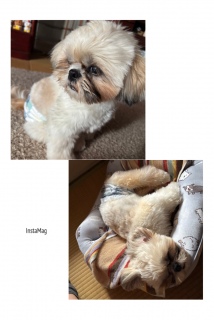 ���Ƃł�