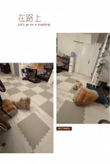 ��������₩