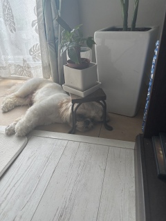 ���j��